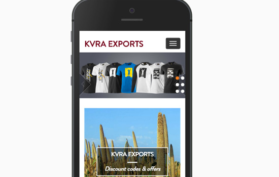 portfolio woocommerce